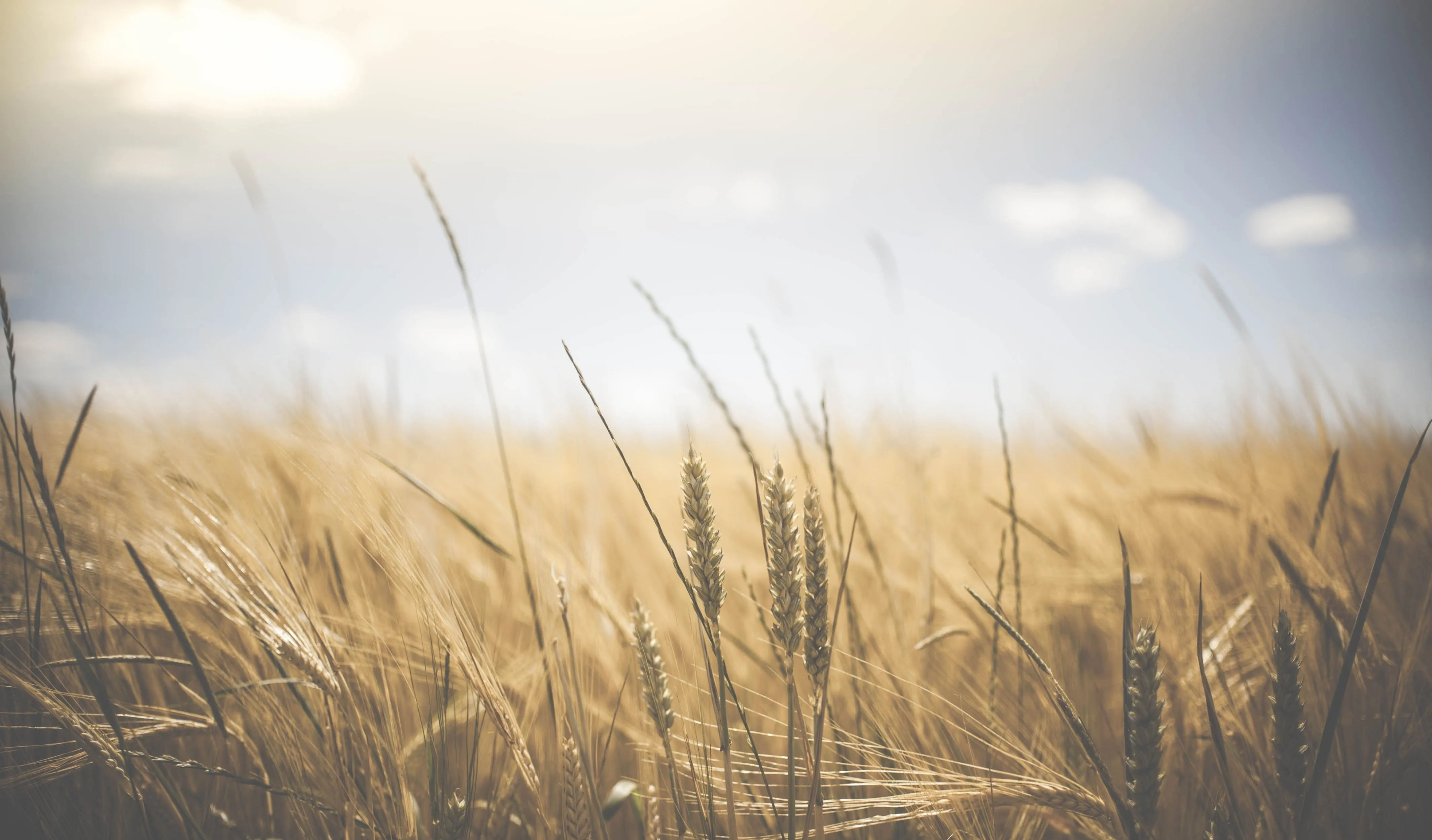 An Industry Adapts: How Equity Release Has Changed To Meet The Challenges Of A Pandemic